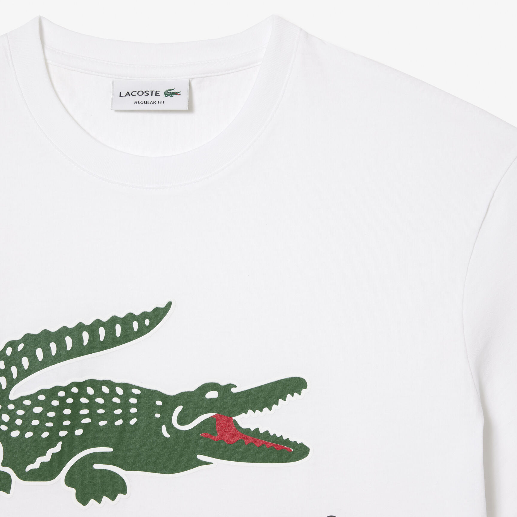Buy Cotton Jersey Signature Print T-shirt | Lacoste UAE